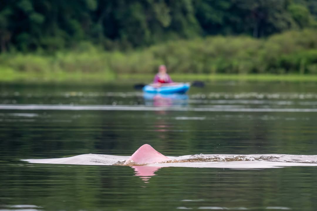 Lago Tarapoto